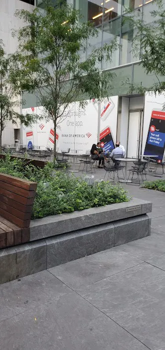 Avenue of the Americas Public Plaza Picture 4