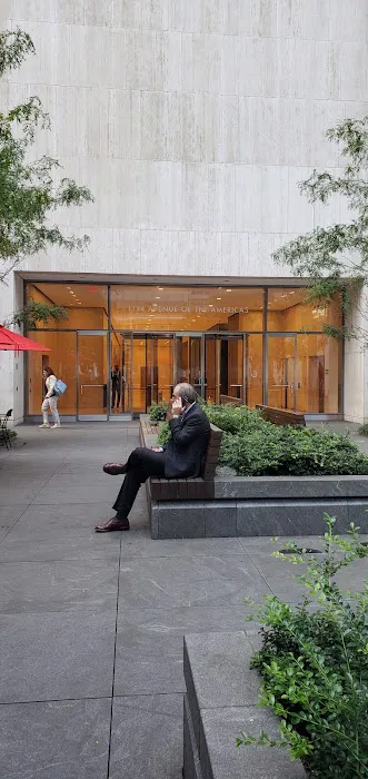 Avenue of the Americas Public Plaza Picture 10