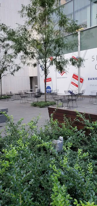 Avenue of the Americas Public Plaza Picture 6