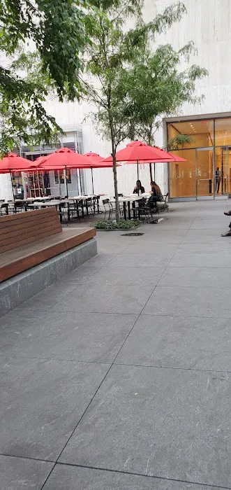 Avenue of the Americas Public Plaza Picture 3
