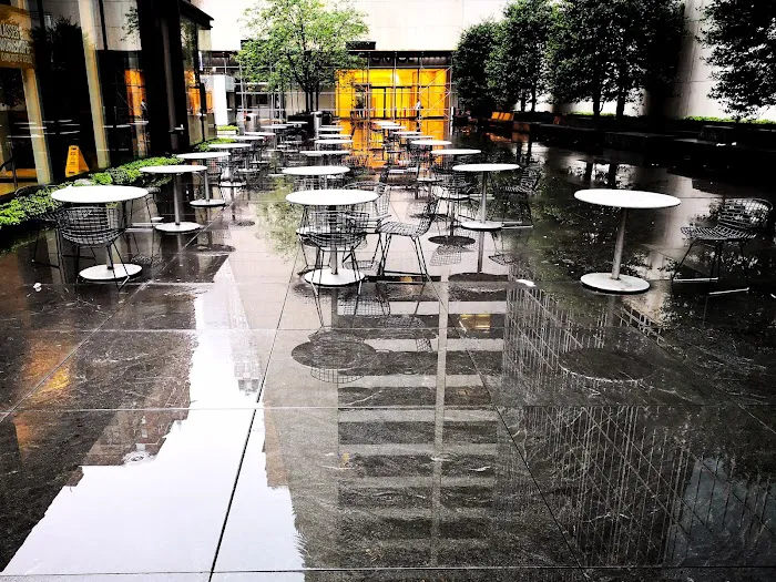 Avenue of the Americas Public Plaza Picture 2