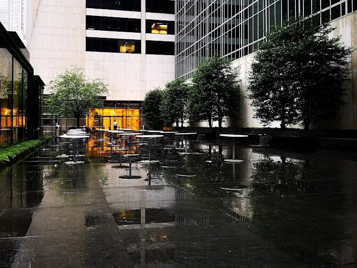 Avenue of the Americas Public Plaza Picture 1