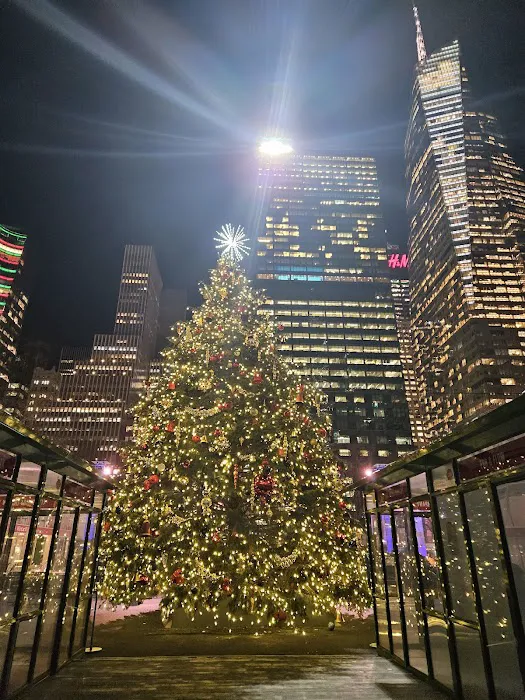 Bryant Park Picture 10