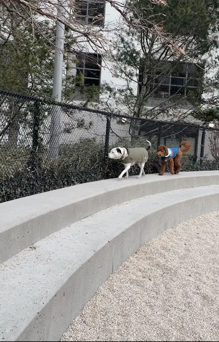 Pier 6 Dog Run Picture 7