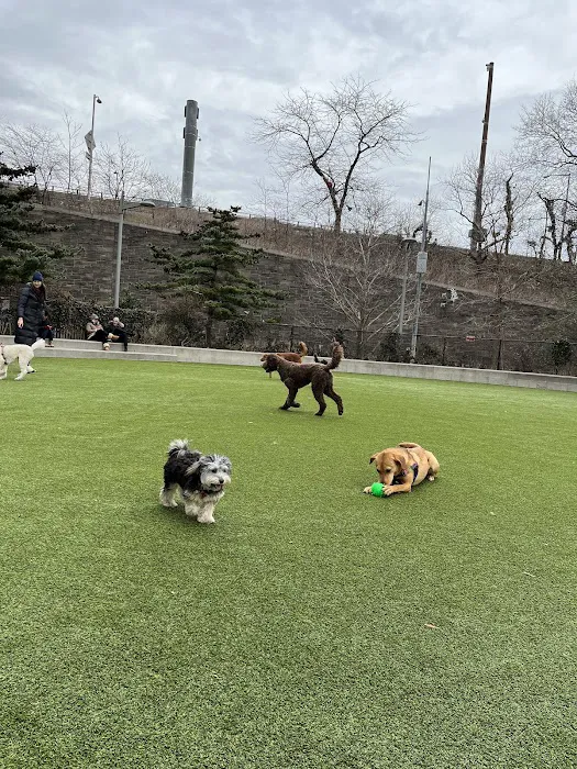 Pier 6 Dog Run Picture 9