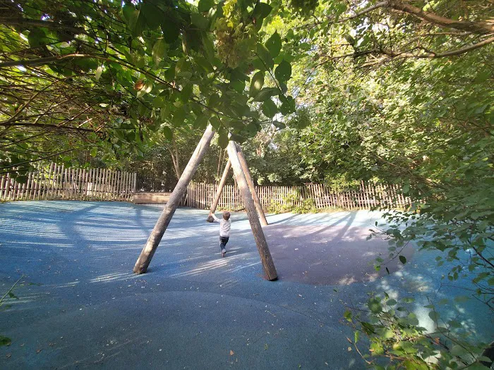 Swing Valley Picture 8