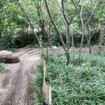 Exploratory Marsh