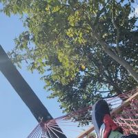 Distretto delle amache ico