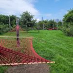 Hammock Grove