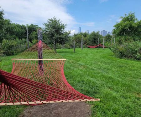 Hammock Grove
