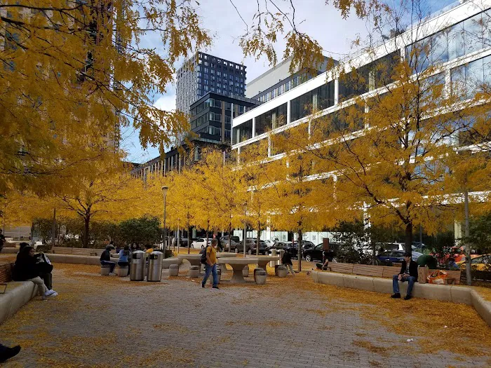 Park Picture 6