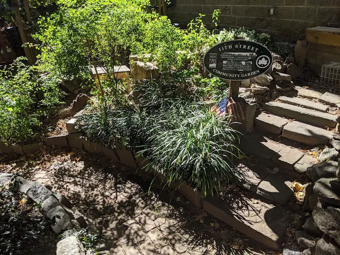 11th Street Community Garden Picture 9