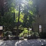 11th Street Community Garden