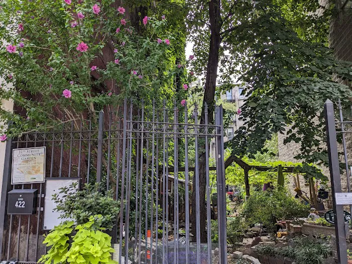 11th Street Community Garden Picture 4