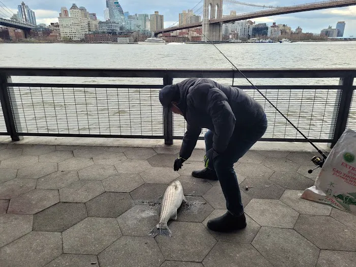 East River Greenway Picture 9