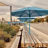 The Picnic Peninsula Barbeque Area ico
