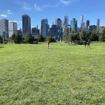 Brooklyn Bridge Park Pier 3 Plaza