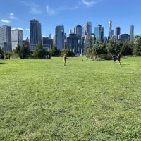 Brooklyn Bridge Park Pier 3 Plaza ico