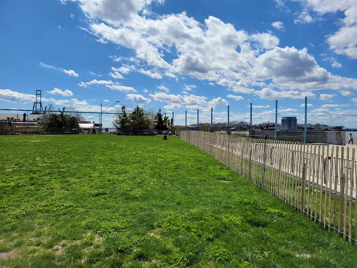 Brooklyn Bridge Park Pier 6 Liberty Lawn Picture 9