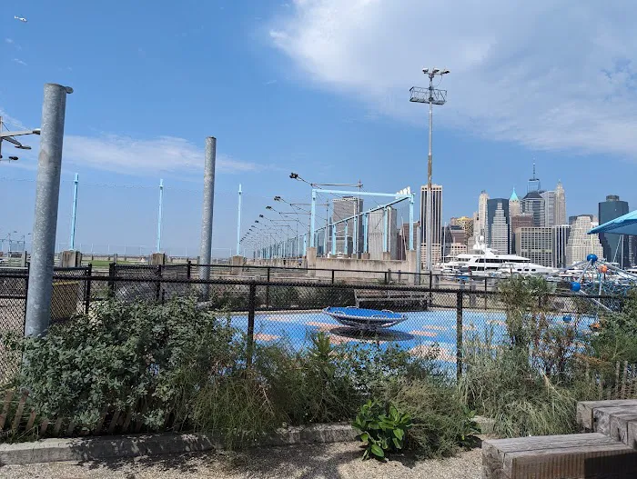 Brooklyn Bridge Park Pier 6 Liberty Lawn Picture 4
