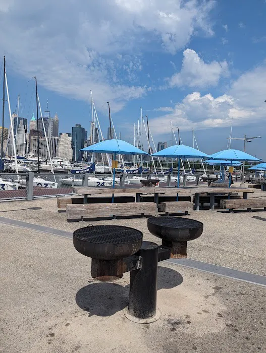 Brooklyn Bridge Park Pier 6 Liberty Lawn Picture 3