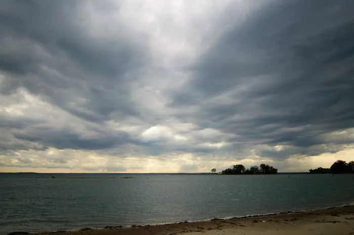Cove Island Wildlife Sanctuary Picture 4