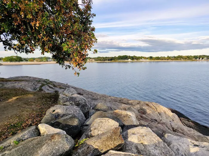 Cove Island Picture 5