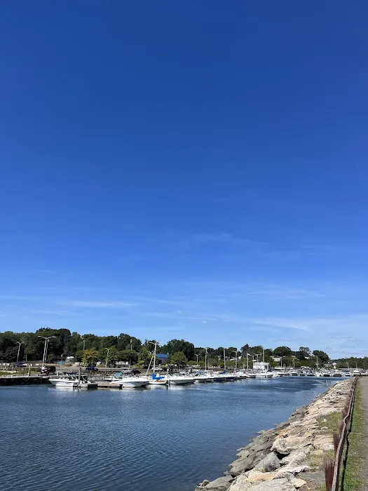 Cove Island Picture 7