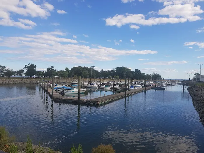 Cove Island Picture 10