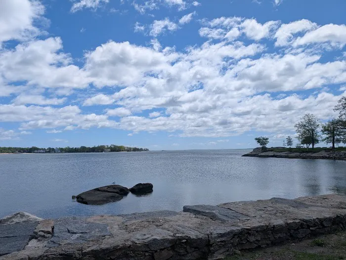 Cove Island Picture 8