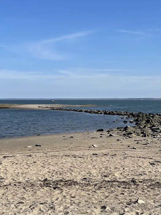 Cove Island Picture 6