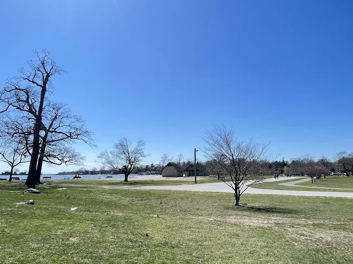 Cove Beach North Picture 1