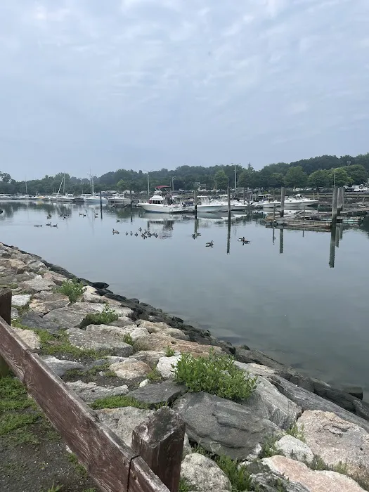 Cove Island Park Picture 3