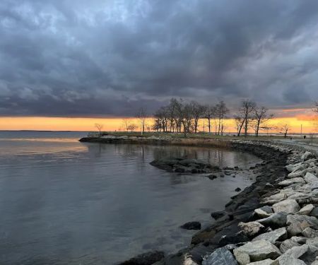 Cove Island Park