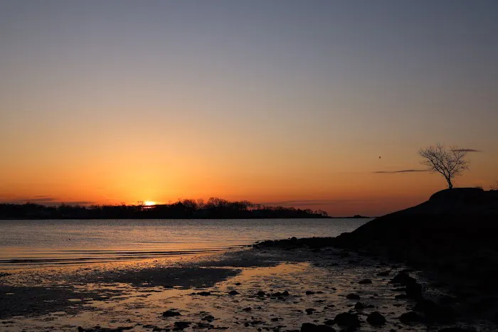 Cove Island Park Picture 6