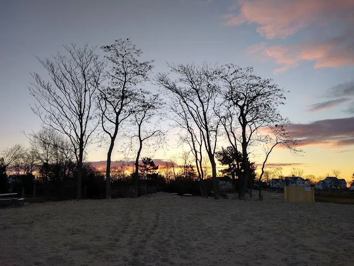 Weed Beach Picture 2