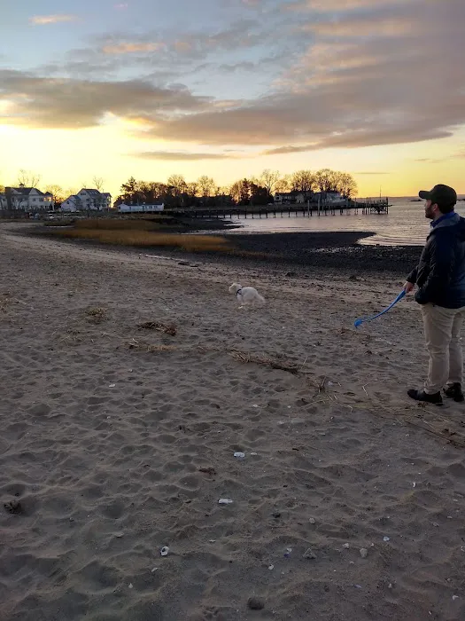 Weed Beach Picture 8