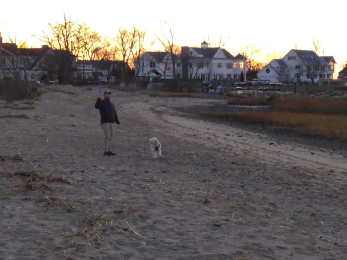 Weed Beach Picture 5