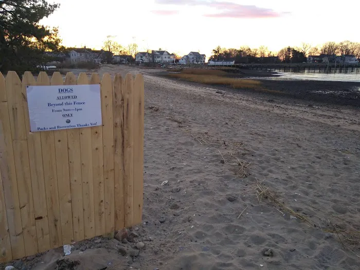 Weed Beach Picture 9