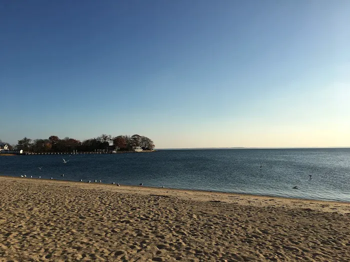 Weed Beach Picture 10
