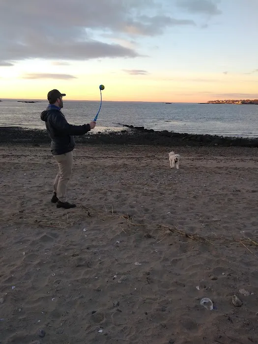Weed Beach Picture 3