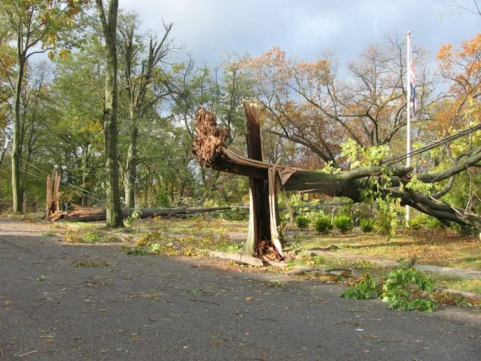Sunset Park Picture 6