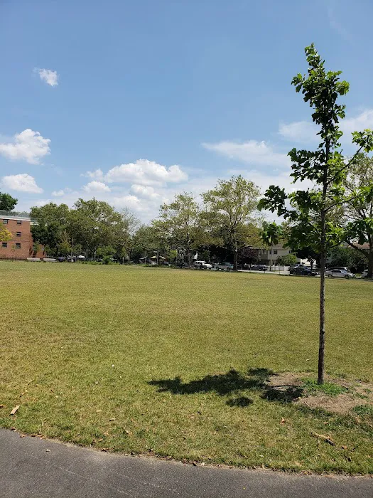 The Big Park Picture 2
