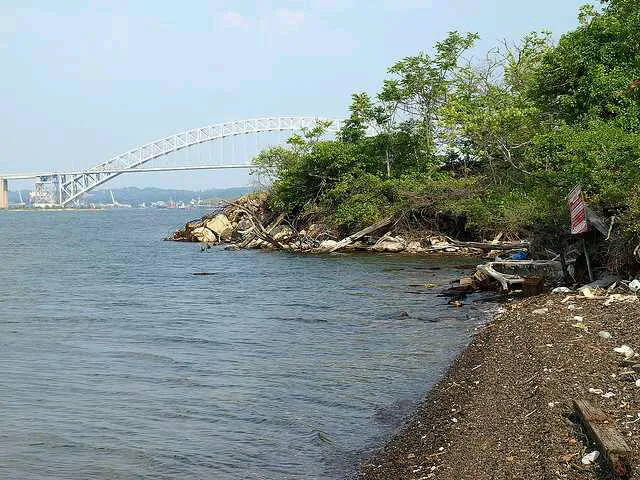 Shooter's Island Picture 8
