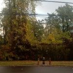 Forest Grove