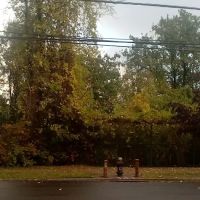 Forest Grove ico