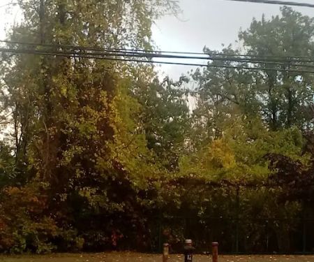Forest Grove
