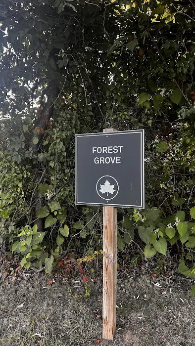 Forest Grove Picture 2