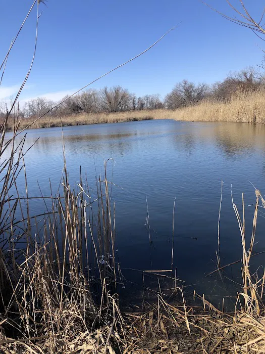 Mariner's Marsh Park Picture 6