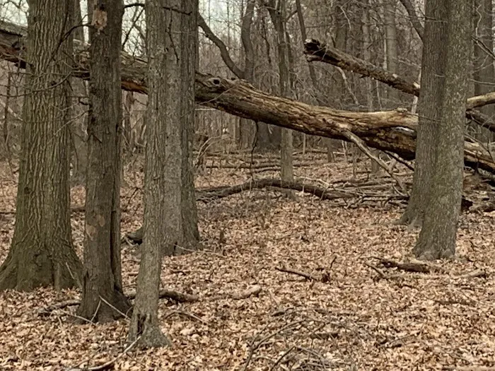 Mariner's Marsh Park Picture 4